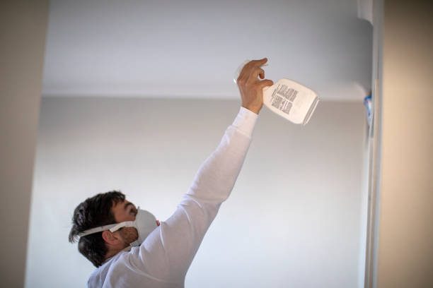 Best Same-Day Mold Removal  in Hardeeville, SC